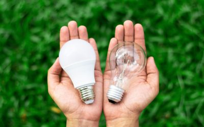 How Rechargeable Bulbs Can Surprisingly Improve Your Mood and Health